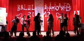 Balul inimioarelor 2012