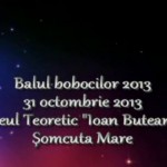 Balul bobocilor 2013