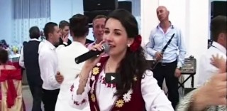 Diana Cârlig și Lăutarii din Ardeal – Colaj LIVE 2014 nunta Marius & Diana Șomcuta Mare