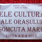 Zilele culturale ale oraşului Şomcuta Mare 25 Iulie 2015