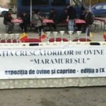 Expoziția de ovine si caprine 2015 Șomcuta Mare – Maramureș