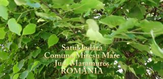Satul Iadăra