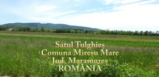 Satul Tulghieș