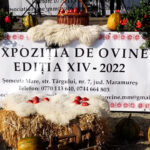 Expoziția de ovine la Șomcuta Mare 2022