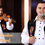 Adrian Ghedan – Colaj Ardeal